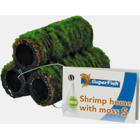 Shrimp Home with Moss